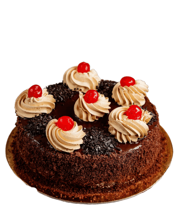 adobe express file (12)